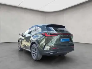 Lexus Others NX350h 4x4 Executive Alle Extras Modeljahr 26 Bild 3