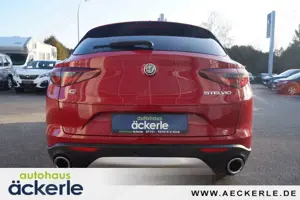 Alfa Romeo Stelvio Business Q4 I Winter,-Assistenz,-Komfort,- Paket I Bild 4