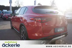 Alfa Romeo Stelvio Business Q4 I Winter,-Assistenz,-Komfort,- Paket I Bild 3