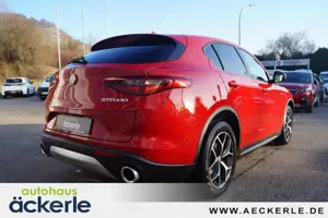 Alfa Romeo Stelvio Business Q4 I Winter,-Assistenz,-Komfort,- Paket I Bild 5