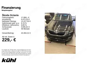 Skoda Octavia Combi 2.0 TSI DSG Style LED,Canton,LM17