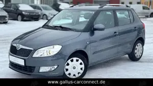 Skoda Fabia Ambiente *SHZ*WINTER*KLIMA*