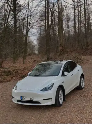 Tesla Model Y Model Y Long Range Dual Motor AWD