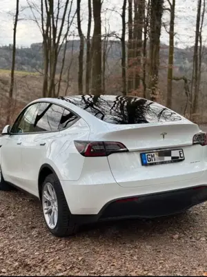 Tesla Model Y Model Y Long Range Dual Motor AWD Bild 3