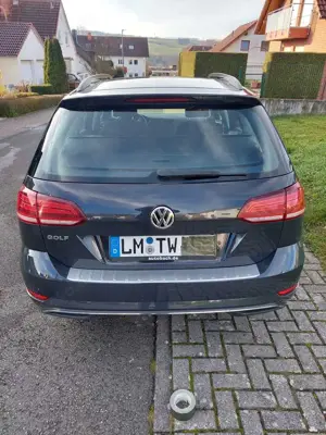 Volkswagen Golf Variant Golf Variant 1.6 TDI SCR Comfortline Bild 3