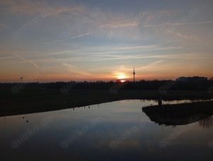 Nette Wohnung in Mannheim und Umgebung gesucht