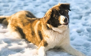 Amaris ist bereit für ein neues Leben