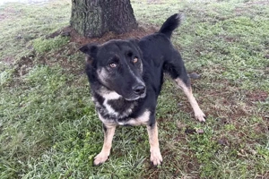 *DUSTER* - eher ruhig und behaglich Bild 5