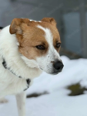 Zoe K ca. 51 cm -  Die kleine Entdeckerin [auf Pflegestelle in 36355 Grebenhain] 