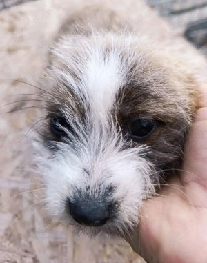 Elias - zeigst du ihm die Welt?