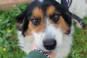 FLORENCE sucht Familienanschluß