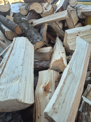 Brenholz Fichte 33cm 85  Srm 25cm 90  Srm Buche momentan aus