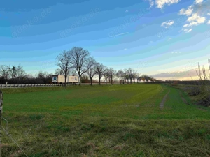 Privatverkauf Grundstück, Gemarkung Gimbsheim, Top-Lage - Top -Preis vielseitig nutzbar