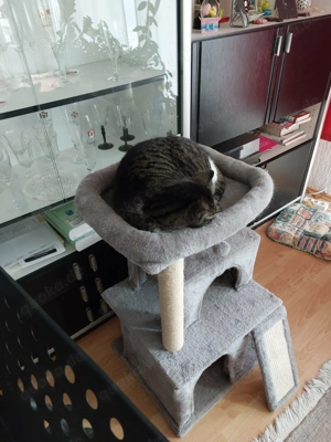 Katzenhaus zu verschenken