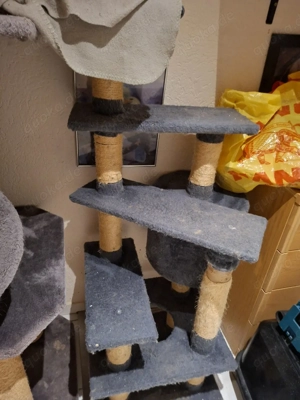 2 Kratzbäume abzugeben 