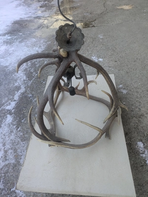 Deckenleuchte 6 Rothirschstangen Hirschgeweih Lampe