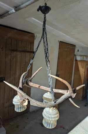Deckenleuchte 3 Rothirschstangen Hirschgeweih Lampe Bild 3