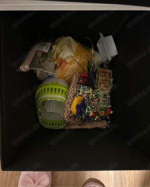 2 wellensittiche inklusive zubehör zu verkaufen und käfig Bild 2