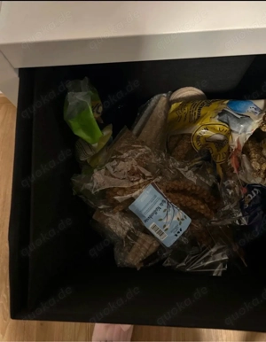 2 wellensittiche inklusive zubehör zu verkaufen und käfig