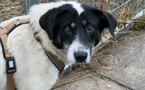 Aufgeschlossene Fay sucht eine Familie