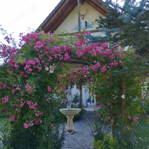 Einraumwohnung möbliert, Balkon, WLAN, Fußbodenheizung, warm 319  ohne Nebenkosten zuzügl. Energie 