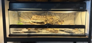 Exo Terra ExoTerra Terrarium 90x45x30