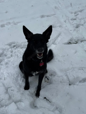 Wunderschöne schwarze Betty braucht dich 