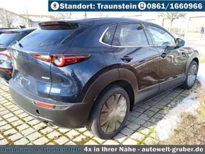 Mazda CX-30 2.5L e-SKYACTIV G 140ps Homura Bild 3