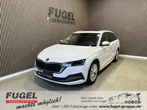 Skoda Octavia Combi 2.0 TDI DSG First Edition AHK|Pano|Leder|Hea