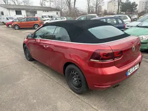 Volkswagen Golf Cabriolet Life Xenon PDC SHZ Navigation 8 fach Bereifung Bild 4
