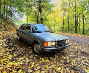 Mercedes-Benz Baureihe 123 300 D