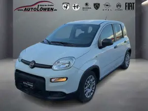 Fiat Panda 1.0 Mild Hybrid Base (Euro 6d)