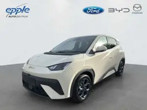 BYD Dolphin Surf DOLPHIN SURF Comfort