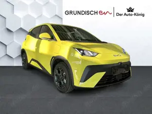 BYD Dolphin SURF Comfort