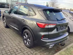 Ford Kuga ST-Line, AHK/GJR/TP/ ASS-P./WP Bild 2