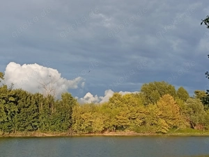 Nette Wohnung in Mannheim und Umgebung gesucht  Bild 3