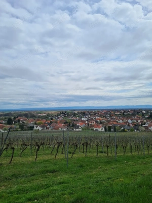 Streuobstwiese Freizeitgrundstück 