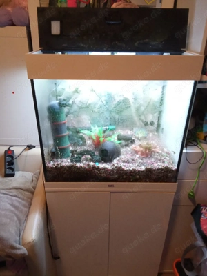 verkaufe ein Aquarium mit Zubehör