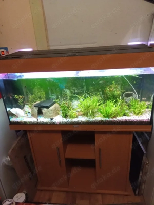 verkaufe 240 Liter Becken