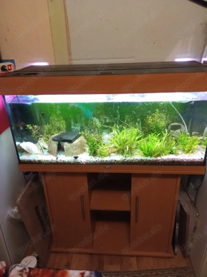 verkaufe 240 Liter Becken