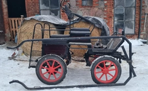 Pony Marathon Kutsche