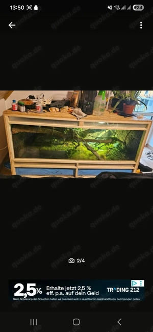 Terrarium komplett 150x80x80 
