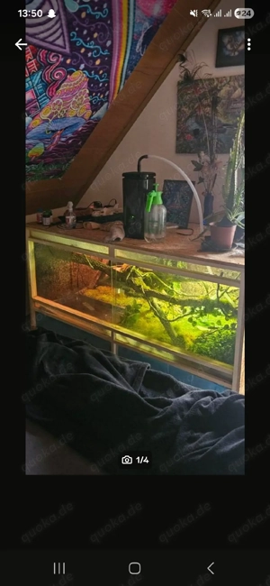 Terrarium komplett 150x80x80  Bild 3