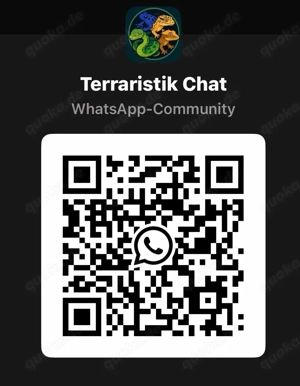 Whatsapp Terraristik Gruppe 