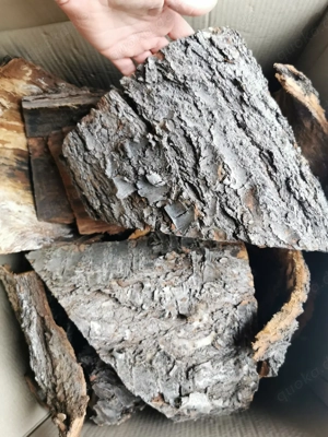 Rinde  Kirsch Rinde DEKO Verstecke Natur Unterschlupf Höhle  Bild 2