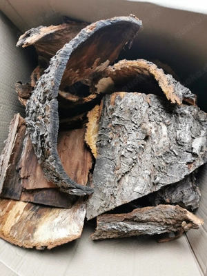 Rinde  Kirsch Rinde DEKO Verstecke Natur Unterschlupf Höhle  Bild 3