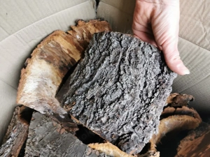 Rinde  Kirsch Rinde DEKO Verstecke Natur Unterschlupf Höhle 