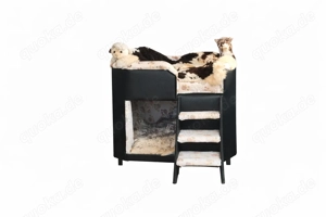 Hundehütte mit Plateau 