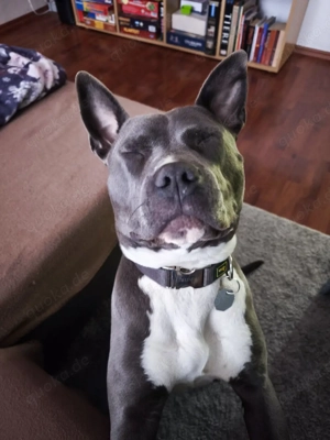 in liebevolle hande abzugeben 