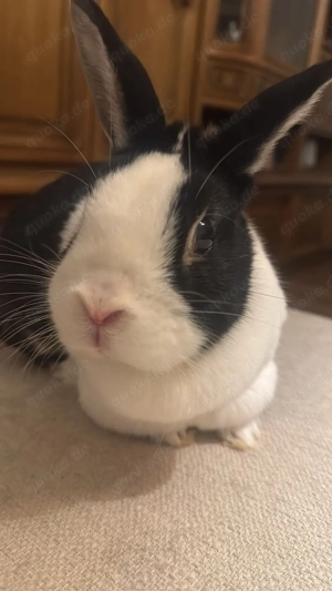 Vermittlungshilfe Aufnahme 